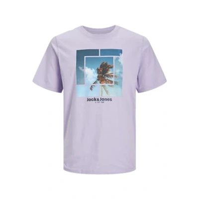 Image of JACK &amp; JONES Men&#039;s Jjcellox Tee SS Crew Neck T Shirt, Purple Rose, L