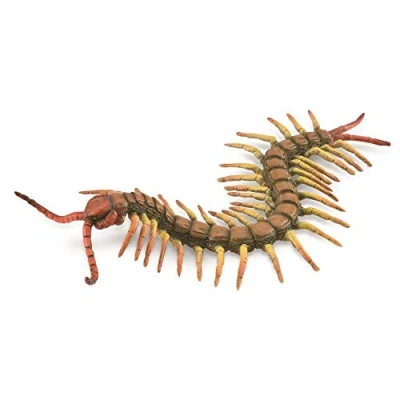 Image of CollectA, Centipede, Collectable Animal Figurine Roleplay Toy