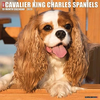 Image of Just Cavalier King Charles Spaniels 2023 Wall Calendar