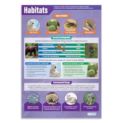 Image of Daydream Education Habitats Science Posters Gloss Paper measuring 850mm x 594mm (A1) Charts for the Classroom
