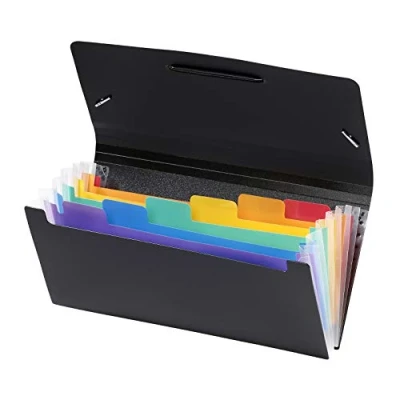 Image of Viquel Rainbow Class Expanding File Folder Office Document Holder 6 Positions Desk Organiser Plastic Checks