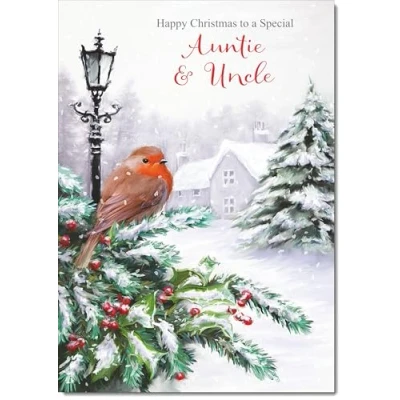Image of doodlecards Auntie and Uncle Christmas Card Robin by Lamp Medium Size for &amp; with Plain Envelope