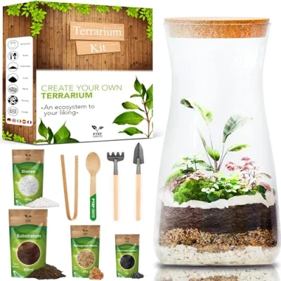 Image of DIY Terrarium Kit for Plants Starter Garden in Bottle Self Sustaining Ecosystem Plant with Jar No (Kit Jar)