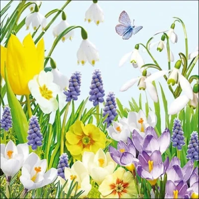 Image of Ambiente Spring Time 3 Ply Napkins, 20 Count Paper 33 x cm Disposable