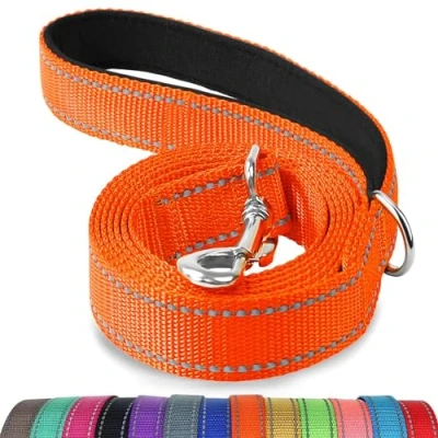 Image of Joytale Padded Handle Dog Lead,Double Sided Reflective Nylon Dogs Leads for Training,Walking Leash Small, Medium Dogs, 1.8m x 2cm, Orange