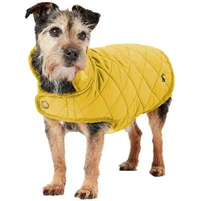 Image of Rosewood Joules Antique Gold Quilted Dog Coat, Large