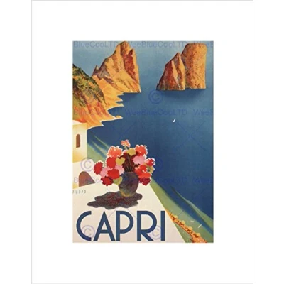 Image of Wee Blue Coo TRAVEL TOURISM ITALY CAPRI ISLAND SUN FLOWERS SEA FRAMED ART PRINT B12X4683