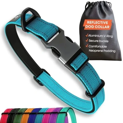 Image of Blue Dog Collar Small Dogs Strong Reflective Adjustable Padded Collars Aluminium V ring Safety