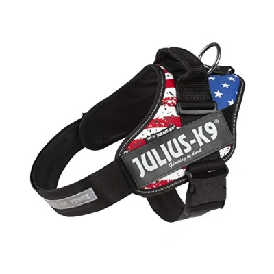 Image of IDC Powerharness, Size: L/1, USA Flag