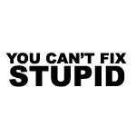 Image of You Can&#039;t Fix Stupid Funny Bumper Sticker Car Van Bike Decal Free P&amp;P