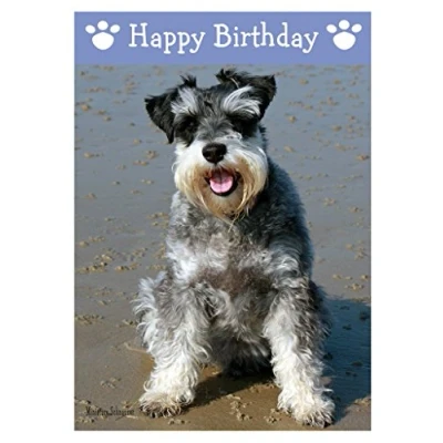 Image of Miniature Schnauzer, Dog Birthday Card