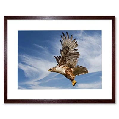 Image of Wee Blue Coo Ferruginous Hawk Prey Hunting Flight Bird Picture Framed Wall Art Print