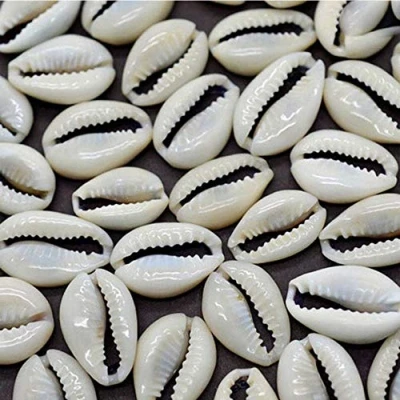 Image of TOSSPER 50 Pcs Cowrie Shells Seashells for Jewelry Making Oval Natural Spiral Shell Beads Ocean Beach Craft Charms Puka