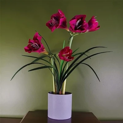 Image of Leaf Artificial Amarylis Flowering Plant Pink