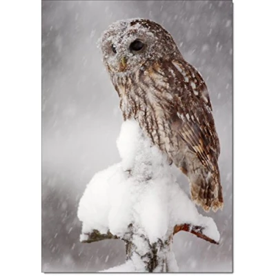 Image of doodlecards Pack of 10 Christmas Cards and Envelopes Wildlife Owl. Printed in UK, Premium Quality &amp; 100% Recyclable.