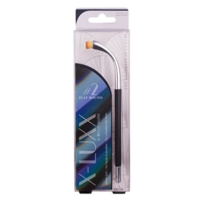 Image of Brushworks X Luxx Brush # 2