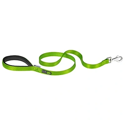 Image of Ferplast DAYTONA G Extra Resistant Dog Lead Soft Padded Handle Practical Hygienic Bag Holder Anti Abrasion Italian Design 120 x 2.5 cm, Green