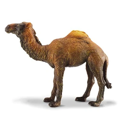 Image of CollectA Dromedary Camel