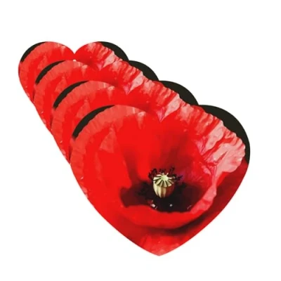 Image of Car Air Fresheners 4Pcs Poppy Flower Freshener for Women Cute Interior Accessories Hanging Cars Mirror Men