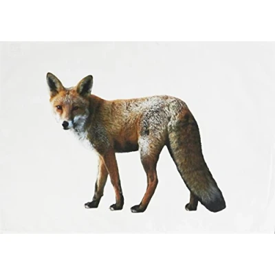 Image of Half a Donkey The Big Fox Large Cotton Tea Towel