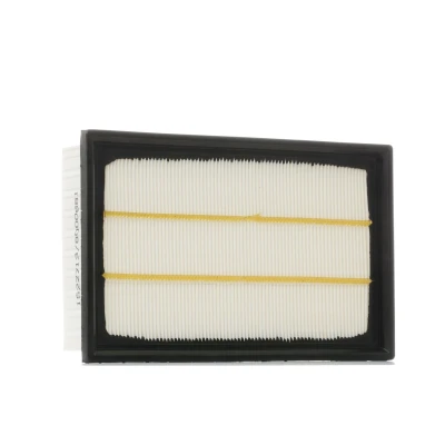 Image of Y60113Z40, Y60113Z409A, Y60113Z40A, Y60113Z40A9A Air Filter PURFLUX A1170 57mm 173mm 267mm Insert FORD: Focus 2, 2 Kombi, C Max