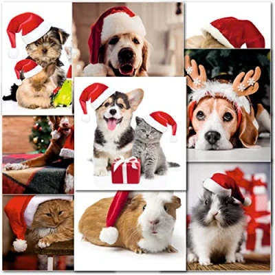 Image of doodlecards Pack of 10 Mixed Pet Premium Square Christmas Cards. Printed in UK, Quality &amp; 100% Recyclable.