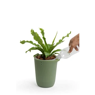 Image of QUALY Oasis QL10307 GN GY Round Flower Pot with Self Watering System in Green Size S