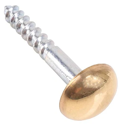 Image of 32mm Brass Cap Mirror Screws Dome Head Cover