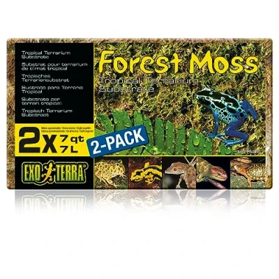 Image of Exo Terra Forest Branch, Medium (Exact Size May Vary)