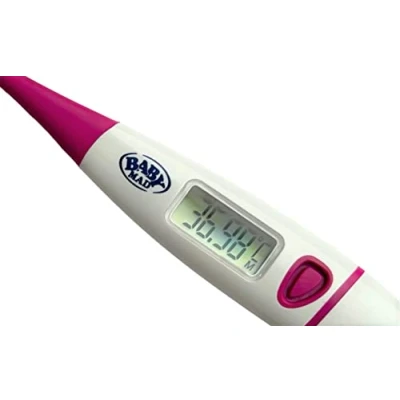 Image of Digital Basal Thermometer C or F Highly Accurate 2 Decimal Place + BBT Chart Storage Case