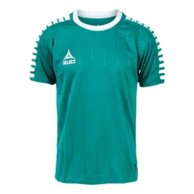 Image of Select Argentina Jersey Kids Green White, 12
