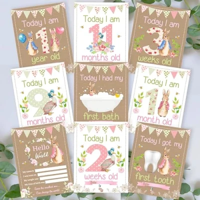 Image of Personal Moments Peter Rabbit 1st Year Milestone Cards ? New Baby Gift Beatrix Potter Memory