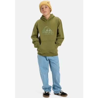 Image of Quiksilver Fleece sweater COMP LOGO HOODIE KIDS Boy&#039;s Green 16