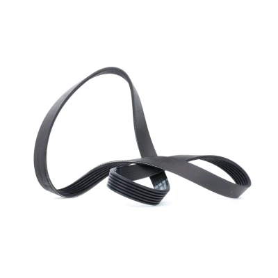 Image of 1558205, 2146380, 3020730, 3043652, 3807297 V ribbed belt DAYCO 6PK1100 1100,0mm 6 BMW: 3 Saloon, Coupe, Convertible, VOLKSWAGEN: Golf 5