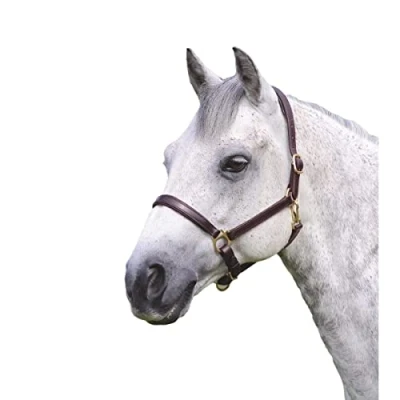 Image of Shires Ragley Lined Leather Headcollar: Havana: Extra Full