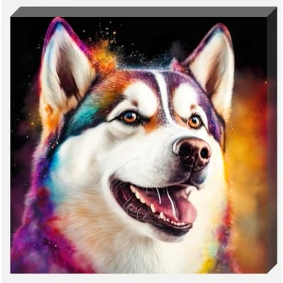 Image of Colourful Husky Dog Canvas Wall Art Print Multiple sizes (20&quot; X 20&quot; (508MM 508MM))