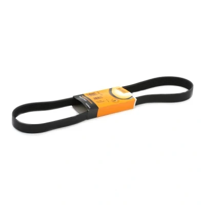 Image of 117201KT0A V ribbed belt CONTITECH 7PK1125 1125mm 7 RENAULT: GRAND SCENIC 2, MEGANE 3 Coupe, 3, NISSAN: Juke