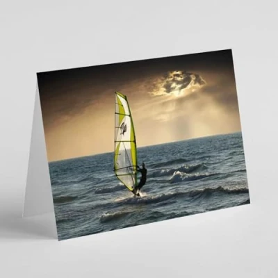 Image of Beebooh cards Windsurfer birthday card