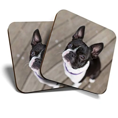 Image of Great Coasters (Set of 2) Square/Glossy Quality Coasters/Tabletop Protection for Any Table Type Boston Terrier Dog Pattern Woof #16618