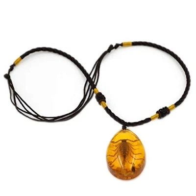 Image of Zonster Amber Round Ball Pendant Insect Stone Natural Scorpions Inclusion Baltic Necklace Home Decorative Wedding Party Travel Gift, 24x17x10mm