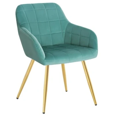 Image of WOLTU 1 X Kitchen Dining chair Turquoise/Golden with arms and backrest,Living Room for bedroom Velvet,BH232ts