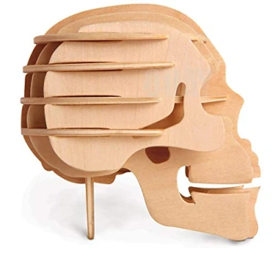 Image of Quay Human Skull Woodcraft Construction Kit