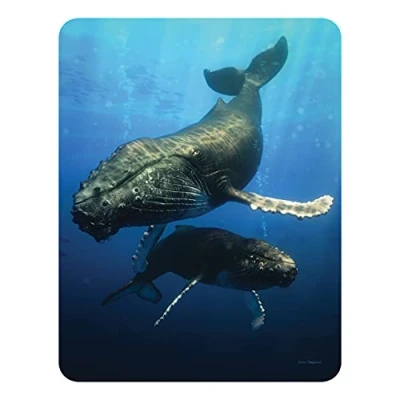 Image of 3D LiveLife Magnet Blue Whale from Deluxebase. Lenticular Ocean Fridge Magnet. Magnetic decor for kids and adults with artwork licensed renowned artist, David Penfound