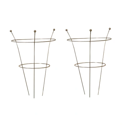 Image of Pack of 2 Tom Chambers Herbaceous Bare Rusted Steel Garden Plant Support Medium 54cm x 40cm