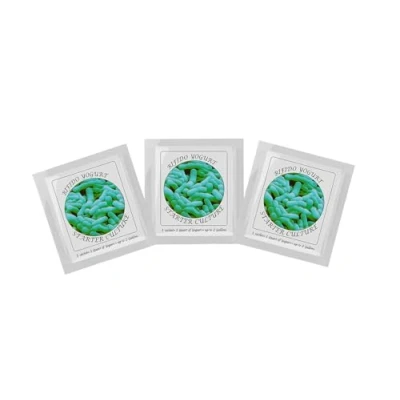 Image of Yogurt Starter Cultures Pack of 3 Freeze Dried Culture Sachets for Bifido