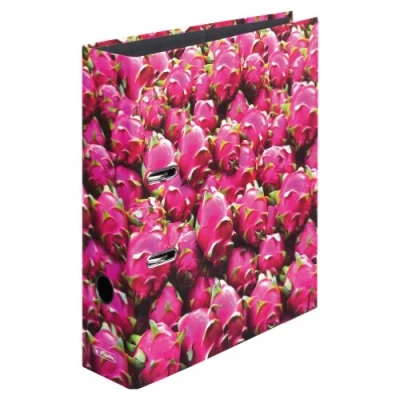 Image of Herlitz max. file folder A4 8 cm Fruit (Assorted Designs And Sets) Drachenfrüchte