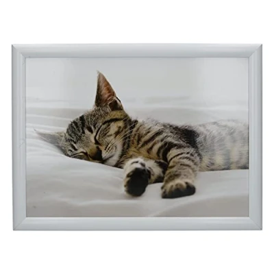 Image of Creative Tops &quot;Kitten&quot; Lap Tray with Cushion, Bean Bag Cushioned, 44 x 34cm, Multi Colour