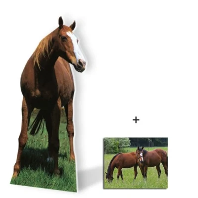 Image of BundleZ 4 FanZ Fan Packs Horse (Mustang) Wildlife/Animal Lifesize Cardboard Cutout/Standee/Standup Includes 8x10 (20x25cm) Star Photo