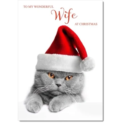 Image of doodlecards Wife Christmas Card Cat with Santa Hat Medium Size Plain Envelope