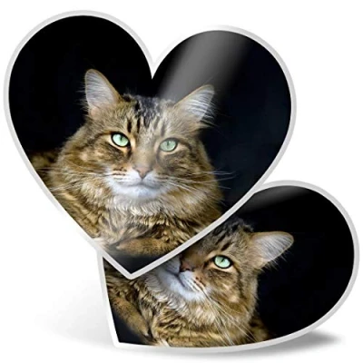 Image of 2 x 7.5cm Heart Stickers Tabby Cat Kitten Pets Animal Decals 15586